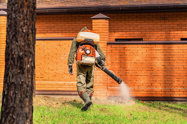Trusted Ant Control service in Montpelier, OH - Nex Pest Control